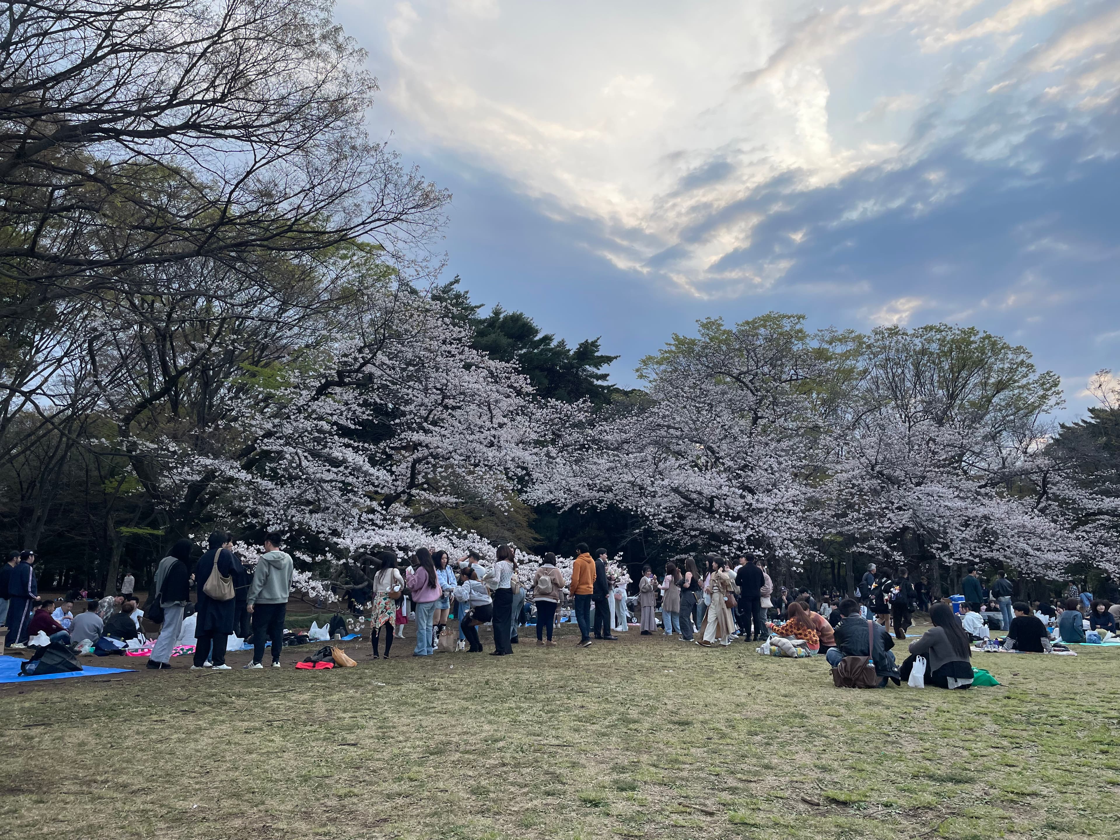 It’s been two months since I started living in Japan.